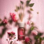 Ambra & Rosa - Millefiori - dyfuzor zapachowy z patyczkami 100ml - 4