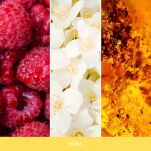 Roma (Amber-Vanilla) - Mr & Mrs Fragrance - zapach odświeżacz do samochodu ONE! - 3