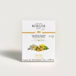 Maison Berger Fruity Sun (Soleil Fruite) - wkład zapachowy do dyfuzora samochodowego 2 szt. - 3