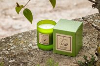 Bergamota - Vila Hermanos - świeca zapachowa 190g - seria Aromathologie - 3