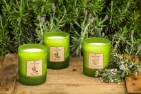 Bergamota - Vila Hermanos - świeca zapachowa 190g - seria Aromathologie - 2