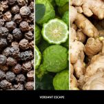 Verdant Escape - Millefiori - dyfuzor zapachowy z patyczkami 250ml  - 3