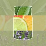Yankee Candle Sage & Citrus Car Jar zapach do samochodu zawieszka - 3
