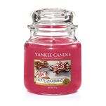 Frosty Gingerbread - Yankee Candle -średnia świeca zapachowa - 3