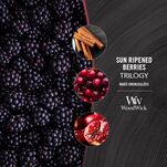 Sun-Ripened Berries Woodwick Hearthwick Trilogy -świeca zapachowa z drewnianym knotem - 5