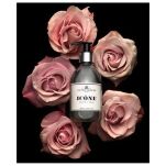 Icone - Victor Vaissier Paris - mydło w płynie 300 ml - 3