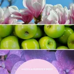 Millefiori Magnolia Blossom & Wood - dyfuzor zapachowy z patyczkami 100 ml - 3