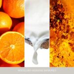 Woodland Weekend Memories - Yankee Candle Signature - świeca tumbler z dwoma knotami  - 2