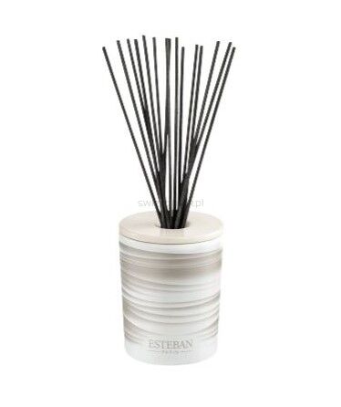 Dekoracyjna pusta karafka z pałeczkami - Esteban Paris - 100ml