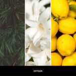 Oxygen - Millefiori  Milano - uzupełniacz do lampy katalitycznej 500ml - 2