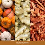 Golden Pumpkin - Yankee Candle Signature - duża świeca zapachowa z dwoma knotami - nowość 2025 - 3