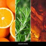 Cedar Wood - Mr & Mrs Fragrance - zapach odświeżacz do samochodu CESARE - 3