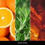 Cedar Wood - Mr & Mrs Fragrance - zapach odświeżacz do samochodu CESARE - 3