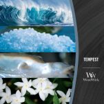 Tempest - Woodwick - świeca elipsa z drewnianym knotem  - 3