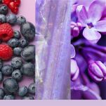 Summit Stargazing - Yankee Candle Signature - świeca zapachowa tumbler 1 knot - 3