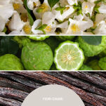 Millefiori Fresia e Pera 500 ml – dyfuzor zapachowy z patyczkami - 2