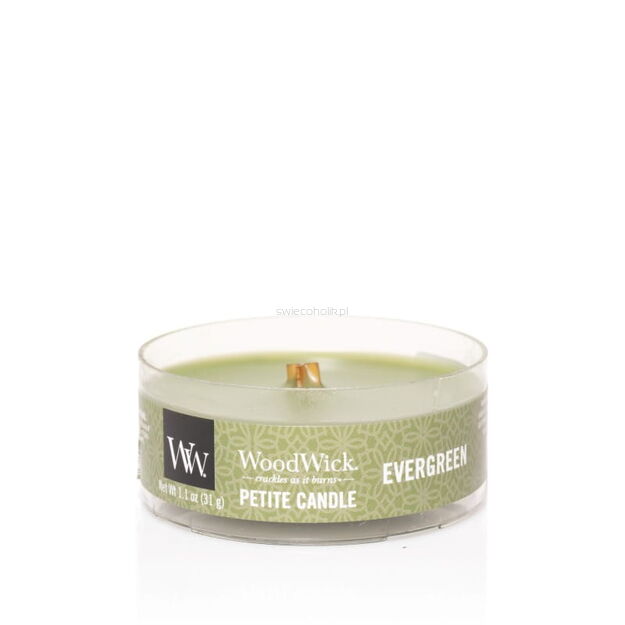 Evergreen - Woodwick - petite- mini świeca zapachowa z drewnianym knotem