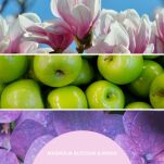 Magnolia Blossom & Wood  Millefiori - 250 ml - dyfuzor zapachowy z patyczkami - 4