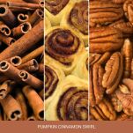 Pumpkin Cinnamon Swirl - Yankee Candle Signature - duża świeca z dwoma knotami  - 2