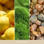 Calming Cabana - Yankee Candle - duża świeca - seria Home Inspiration - 3