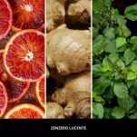 Zenzero Lucente - Millefiori Milano - zestaw prezentowy pałeczki zapachowe 100ml + CAR ICON - nowość 2025 - 3