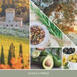 Olive & Cypress - Yankee Candle Signature - mini świeca zapachowa - nowość 2025 - 2