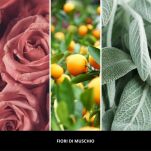 Fior Di Muschio - Millefiori Milano - Uzupełniacz do odświeżacza LED - 2