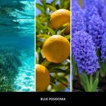 Blue Posidonia - Millefiori - spray zapachowy 150ml - 2