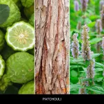 Patchouli - Mr & Mrs Fragrance - zapach odświeżacz do samochodu GIGI - 2