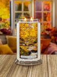 Amberwood Moss - Kringle Candle - duża świeca z dwoma knotami (624g) - 3