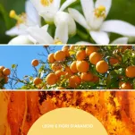 Millefiori Milano Legni e Fiori d'Arancio - uzupełniacz do pałeczek 250 ml - 2