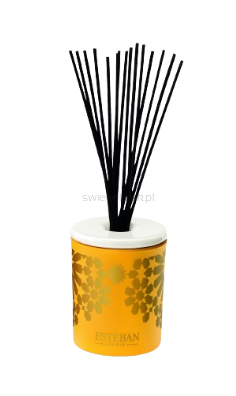 Dekoracyjna pusta karafka z pałeczkami - Esteban Paris - 100ml