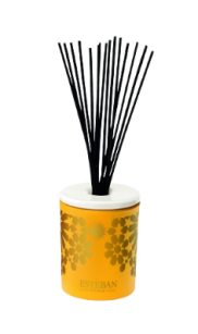 Dekoracyjna pusta karafka z pałeczkami - Esteban Paris - 100ml