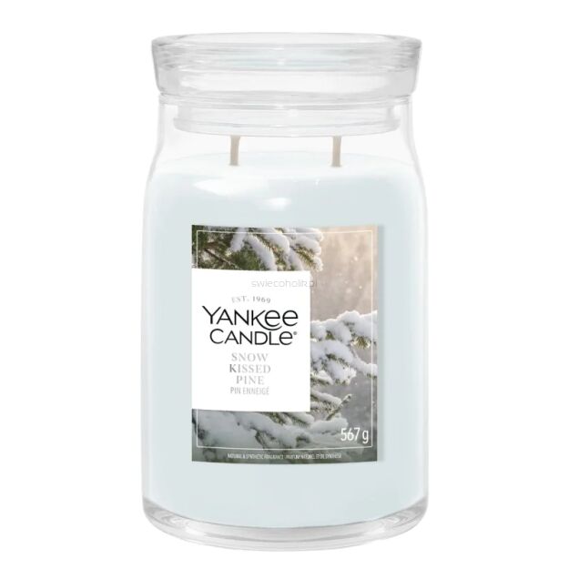 Yankee Candle Snow Kissed Pine – duża świeca zapachowa Signature 567 g