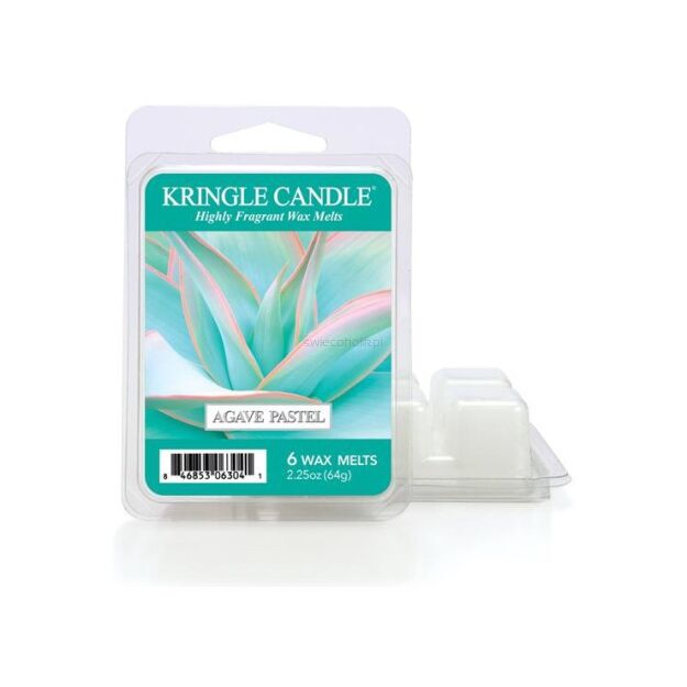 Agave Pastel - Kringle Candle - wosk zapachowy 64 gram