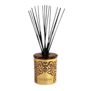 Dekoracyjna pusta karafka z pałeczkami - Esteban Paris - 100ml