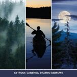 Midsummers Night - Yankee Candle - uzupełniacz do pałeczek zapachowych 200ml - 2