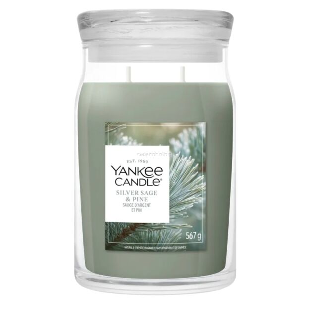 Yankee Candle Silver Sage & Pine - duża świeca zapachowa 567 g