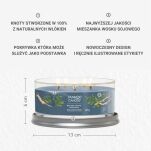 Bayside Cedar - Yankee Candle Signature - świeca tumbler z 5 knotami - 3
