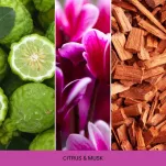 Citrus & Musk - Mr & Mrs Fragrance - Zawieszka zapachowa CESARE - 2