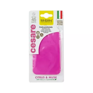Citrus & Musk - Mr & Mrs Fragrance - Zawieszka zapachowa CESARE
