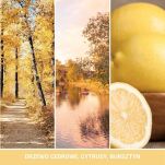 Autumn Sunset - Yankee Candle Signature - wosk zapachowy - 2