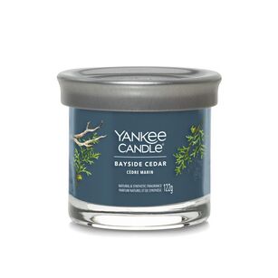 Bayside Cedar - Yankee Candle Signature - świeca tumbler z jednym knotem - nowość 2022