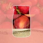 Yankee Candle White Strawberry Bellini - mała świeca zapachowa 110g - 2
