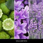 Viola Ametista - Millefiori Milano - Spray do tkanin 100ml LAUNDRY - 2