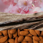 WoodWick Cherry Blossom & Vanilla mała świeca zapachowa 85g - 2