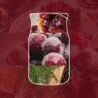 Yankee Candle Woodland Spice – duża świeca zapachowa Signature 567 g - 3