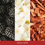 Muscat Grape - Mr & Mrs Fragrance - zapach odświeżacz do samochodu GIGI - 2