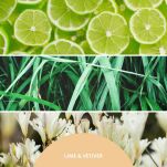 Lime & Vetiver- Millefiori- dyfuzor zapachowy z patyczkami  100 ml - 2