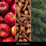 Mela & Canella - Millefiori - dyfuzor zapachowy z patyczkami 250ml  - 2